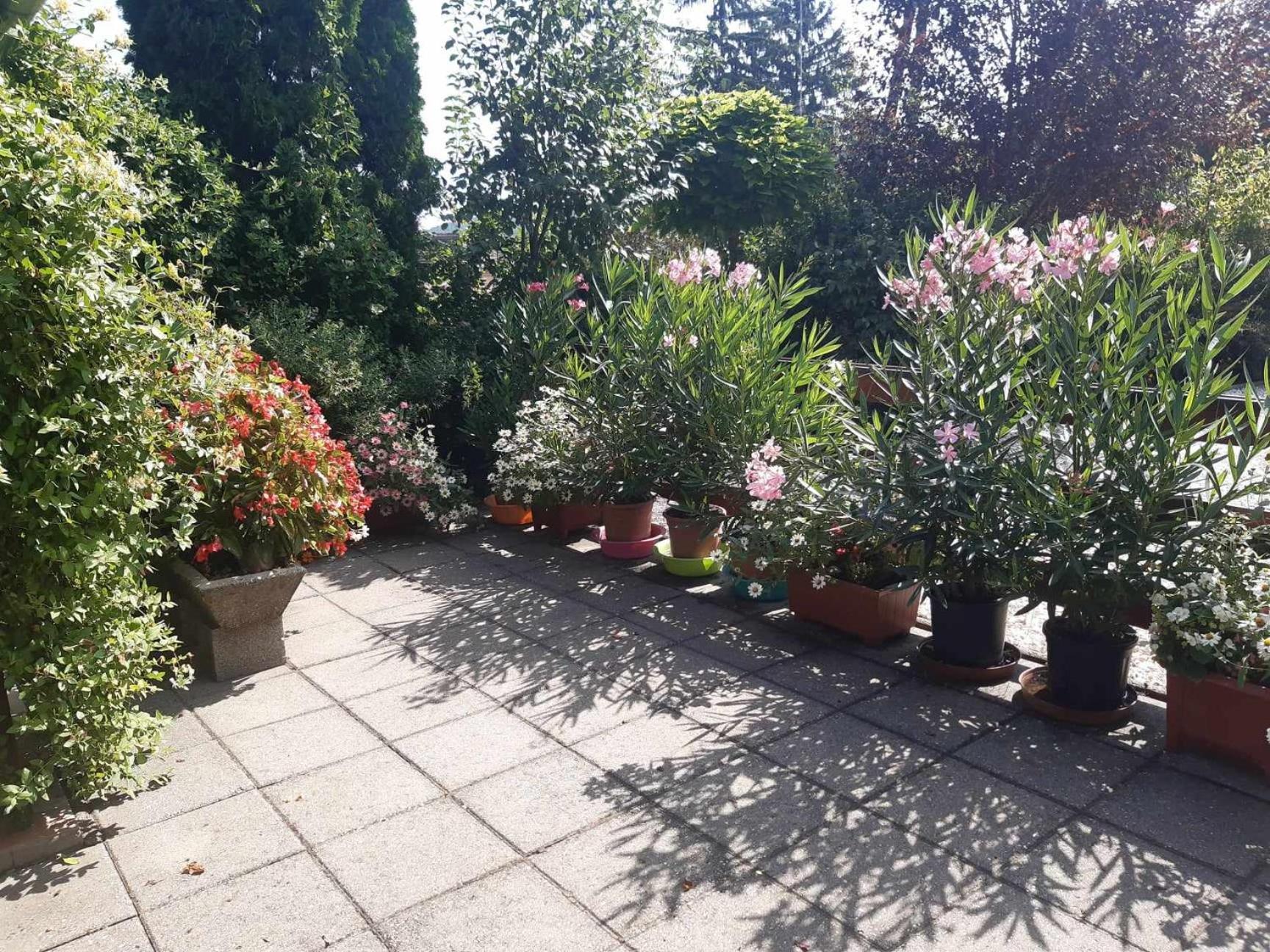 Gyöngyvirág Apartment Romhány Esterno foto