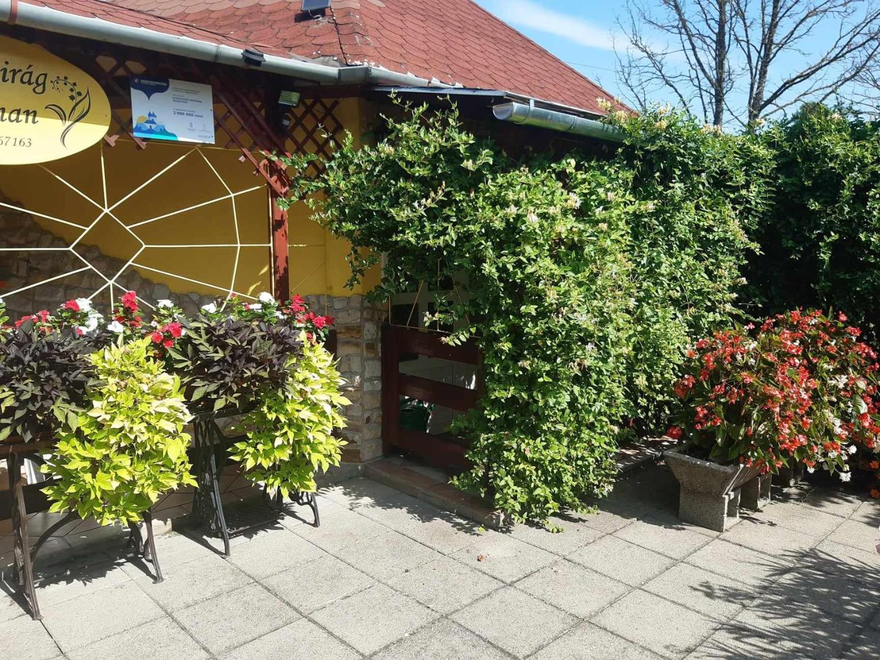 Gyöngyvirág Apartment Romhány Esterno foto